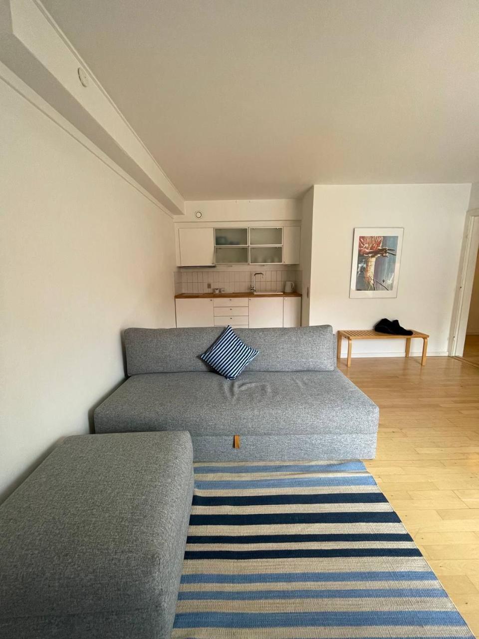 Christianshavn Finest With Huge Balcony Apartment