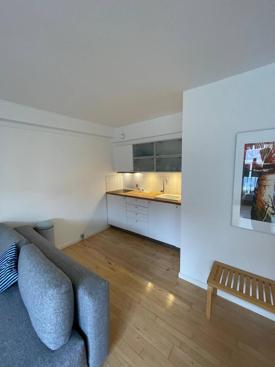 Apartment Christianshavn Finest With Huge Balcony *